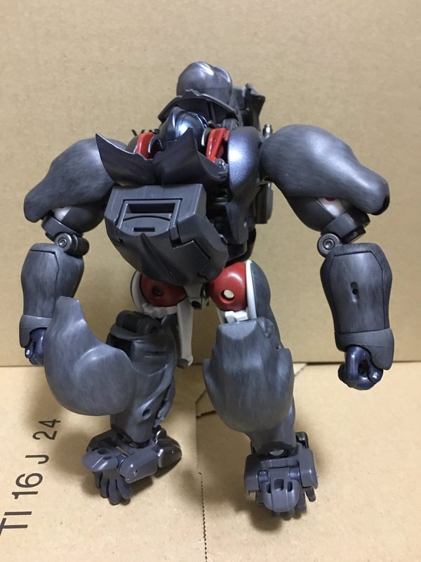 MP 32 Masterpiece Optimus Primal   In Hand Photos Surface On Twitter  (81 of 81)